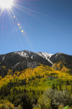 Aspen 10