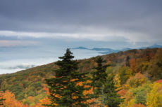 BRP Fall15 Lo-3
2015-10-11 Blue Ridge Parkway - Grandfather Mtn