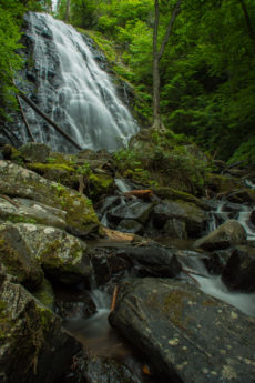 BRP Spring16 Lo-21
2016-5-28 Blue Ridge Parkway