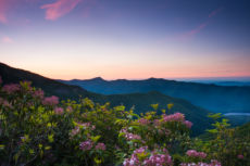Craggy - Roan Lo-2
2016-6-10 Craggy Gardens - Roan Mtn