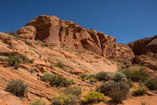 Sedona Lo 140
2015-9-11