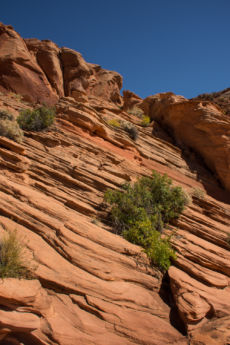 Sedona Lo-141
2015-9-11