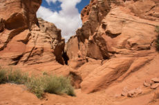 Sedona Lo-155
2015-9-11