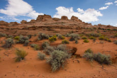 Sedona Lo-171
2015-9-11