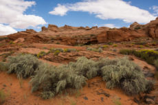 Sedona Lo-172
2015-9-11