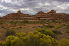 Sedona Lo-173
2015-9-11