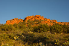 Sedona Lo-203
2015-9-11