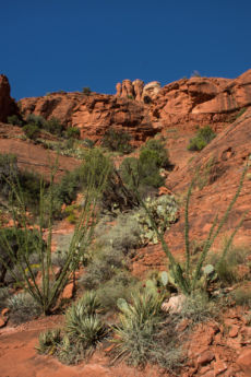 Sedona Lo-218
2015-9-11